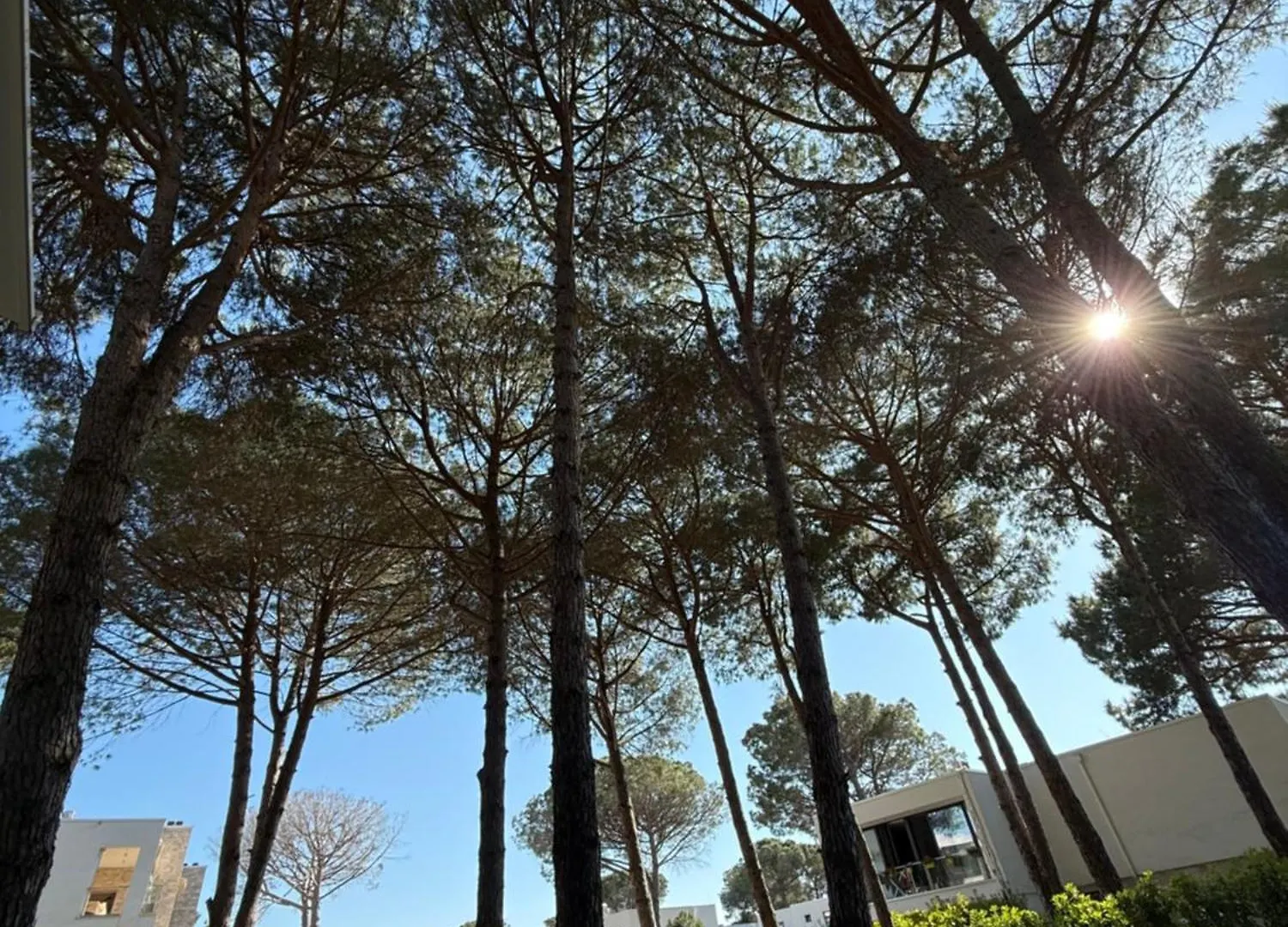 San Pietro Yard Apartment Plazhi San Pietro